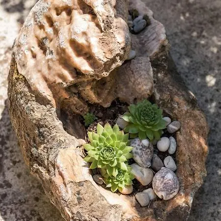 Apartmán Giardino *
